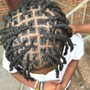 Starter locs