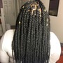 Butterfly locs /Faux Locs