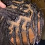 Started Locs