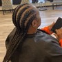 Basic Feed Braids