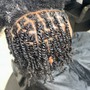 Plaits/Twist Natural Hair