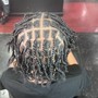 Starter Locs / Comb Twist