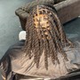 Retwist & Style (shoulder Length)