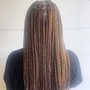 Small/long length Feed in braids