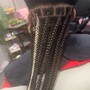 Tribal Braids/Fulani Braids