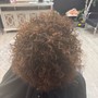 Root Touch Up