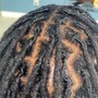 Crochet Locs (individual)