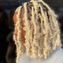 Passion Twists (Mid Back Length)