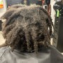 Root Touch Up