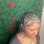 Feed Ins/ Stitch Braids