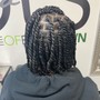 Interlocks (traditional locs)