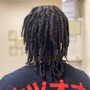 Starter Locs