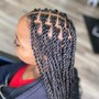 Small Senegalese Twists