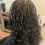 Individual Braids