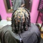 Starter Locs (Two Strands)