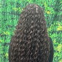 French curl medium size