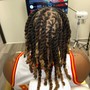 Adult Starter Locs  (Full Head/Low Temp Fade)