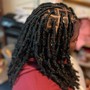 Havana Twists