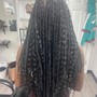 Mini Twists + Hair Added