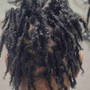 Loc Retwist