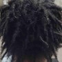 Loc Retwist