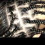 Small Box Braids