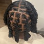 Adult Retwist Only (Full Head/Low Temp Fade)