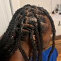 Starter Micro Locs