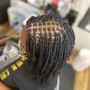 Mini Twists