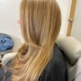 Partial Balayage/Babylights/highlights