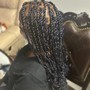 Small Senegalese Twist