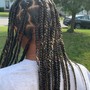 Small straight back feed in braids