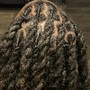 Comb Twist Starter Locs