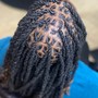 Start Your Journey 2.0 (two strand twist)