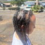 Individual Braids