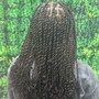 Knotless braids medium size