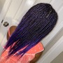 Natural Hair Box Braids (Medium)