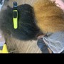 Single Process Color Partial Head