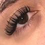 Individual Lashes : Mega Classic