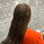 Root Touch Up