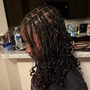 Havana Twists