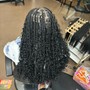 Detangle/Blow Out