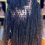 Large Knotless Box Braids