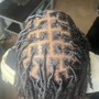 Starter locs