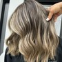 Highlights and Lowlights w/ shadow root, toner, haircut, and blowdry