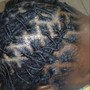 Loc Maintenance: Retwist