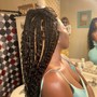 Exotic French Braids hair included