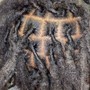 Dreadlocks (Retwist and Dread Starters)