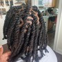 Coil locs starter short