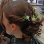 Updo (ponytails and halfup and down)